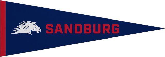 Carl Sandburg College 5x15 Pennant