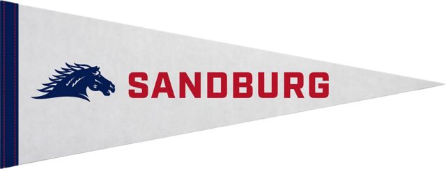 Carl Sandburg College 9"X24" Full Color Pennant