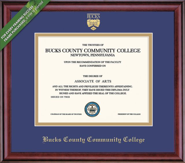 Framing Success Classic 8.5 x 11 Diploma with Double mat- ONLINE ONLY
