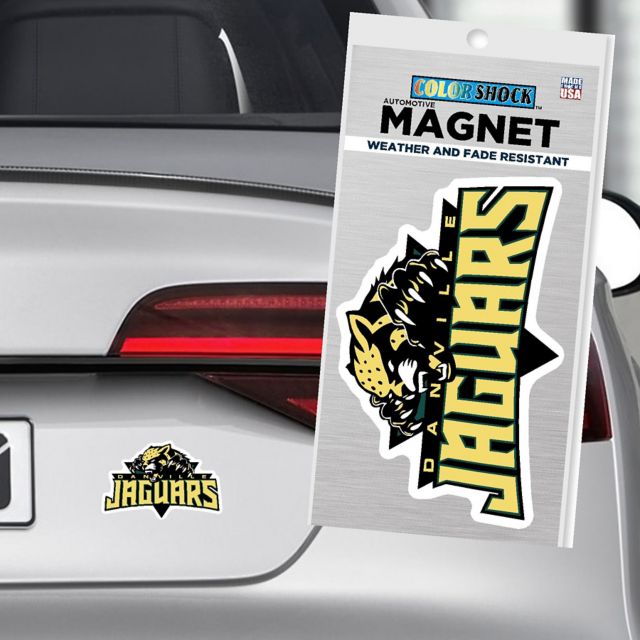 Danville Area Community College 4" x 4" Magnet