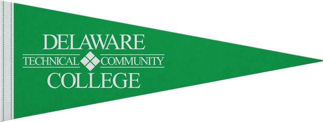 Delaware Technical Community College 9x24 Pennant