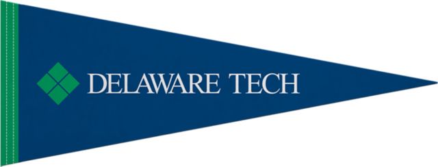 Delaware Technical Community College 9"X24" Full Color Pennant