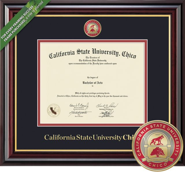 California State University Chico 8.5'' x 11'' Windsor Diploma Frame