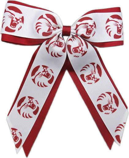 California State University Chico Child Cheer Pony