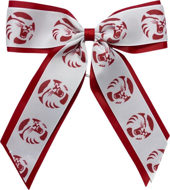 California State University Chico Child Cheer Pony