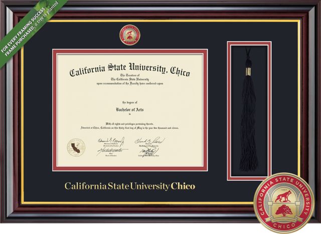 California State University Chico 8.5'' x 11'' Windsor Diploma Frame