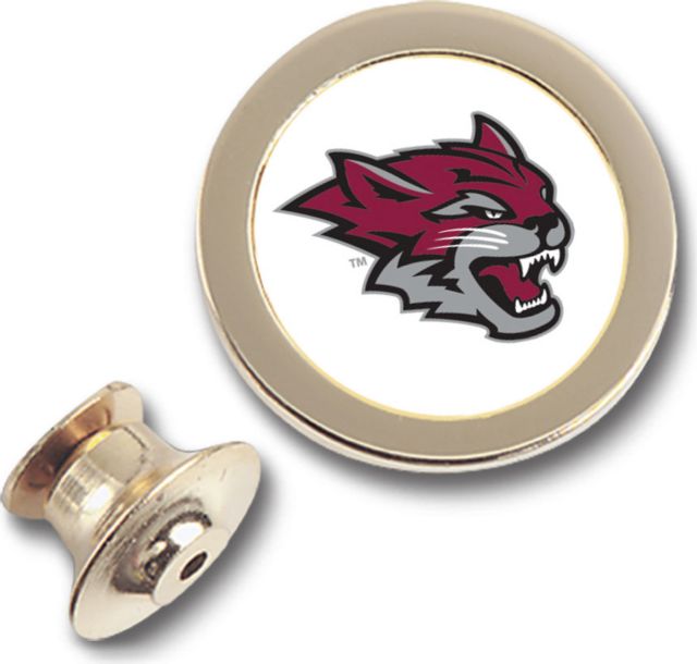 CSI Gold Lapel Pin With Colored Medallian - ONLINE ONLY