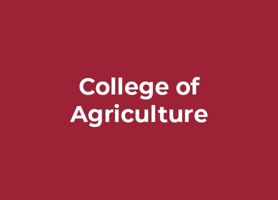 College of Agriculture