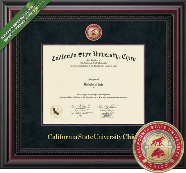 Framing Success Legacy 8.5 x 11 Diploma with Suede mat, Wood Fillet and Medallion - ONLINE ONLY