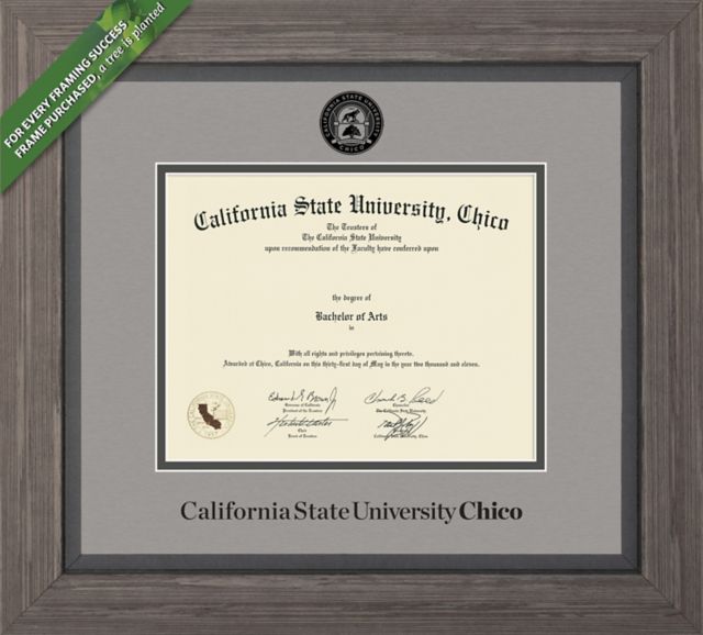 Framing Success Greystone 8.5 x 11 Diploma with Double Mat - ONLINE ONLY