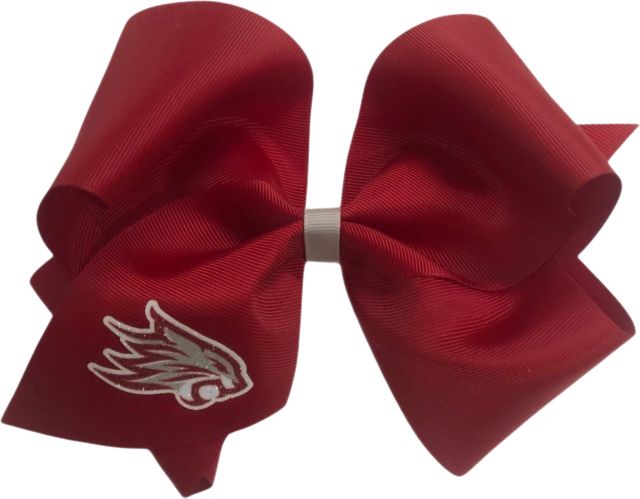California State University Chico Child Cheer Bow