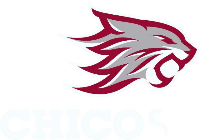 California State University Chico Cling Decal