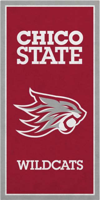 California State University Chico 18" x 36" Banner