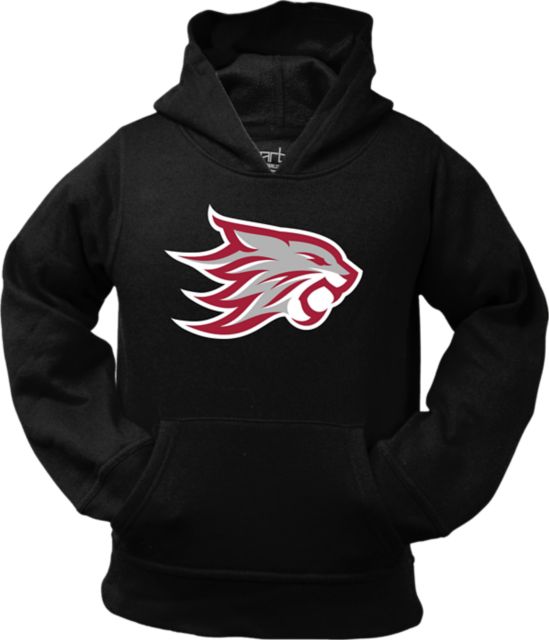 California State University Chico Toddler Unisex Pullover Hoodie