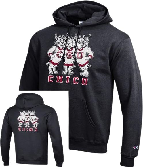 Chico State University Wildcats Champion hoodie sweatshirt-White – Shop  College Wear