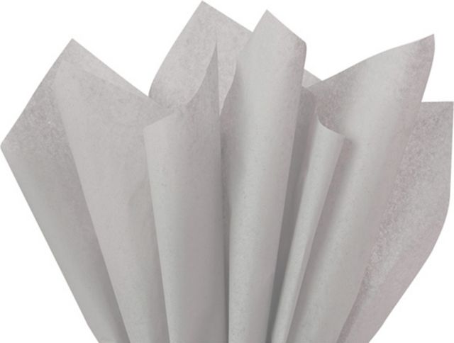 California State University Chico 24-Count Tissue Paper Pack