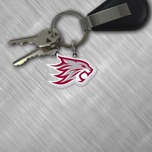California State University Chico Keychain