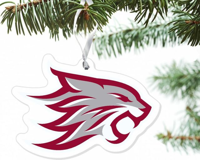 California State University Chico 3 x 4 '' Ornament
