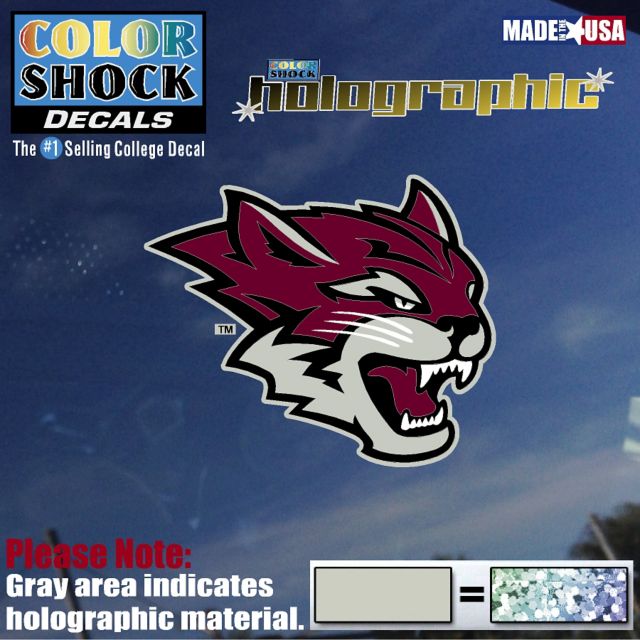 California State University Chico Hologram Decal