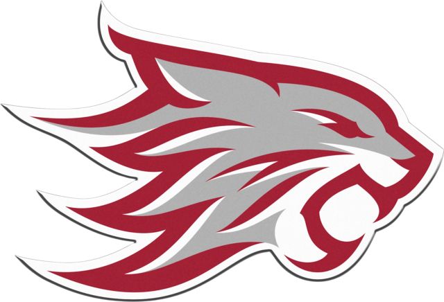 California State University Chico Magnet