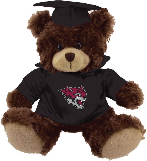 California State University Chico 12'' Graduation Bear - Chocolate - ONLINE ONLY