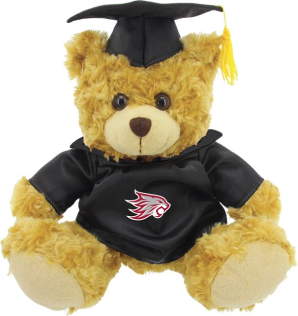 California State University Chico 10'' Graduation Bear