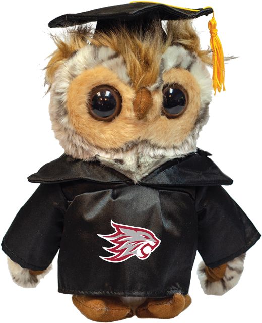 California State University Chico 8'' Graduation Owl