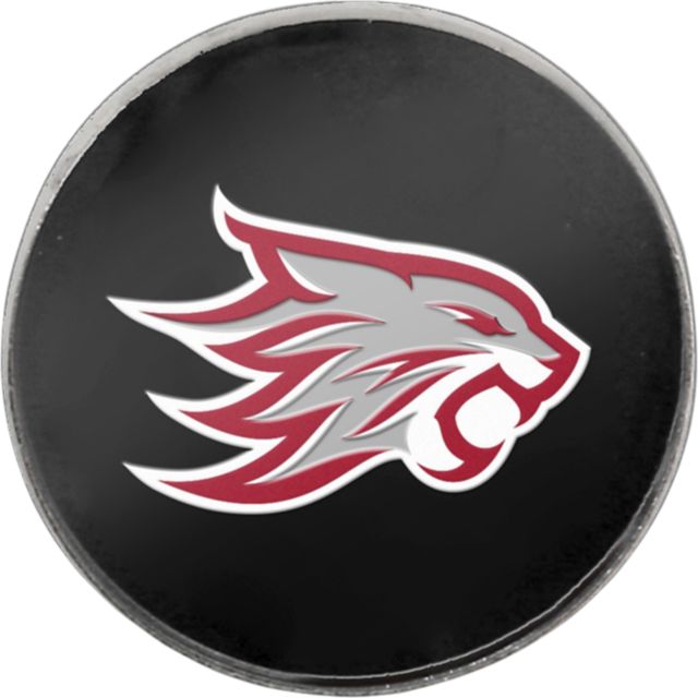 California State University Chico 3-4" Lapel Pin