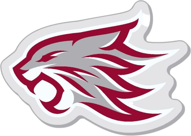 California State University Chico 7" Magnet