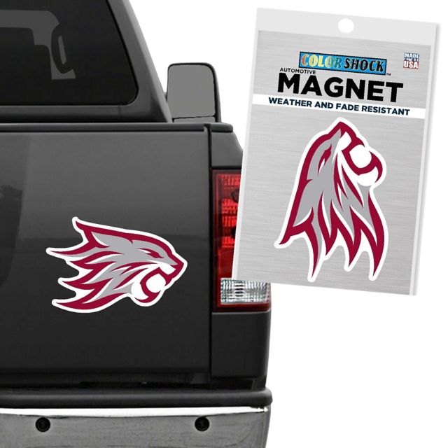 California State University Chico 12x12 Magnet