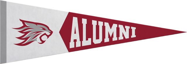 California State University Chico 5x15 Alumni Pennant
