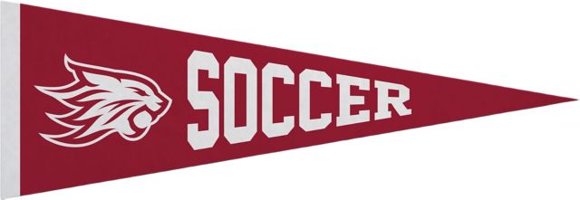 California State University Chico 5x15 Soccer Pennant
