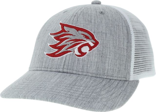 California State University Chico Youth Snapback Cap