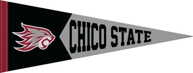 PENNANT 9X24 SF MS/WHITE/    .