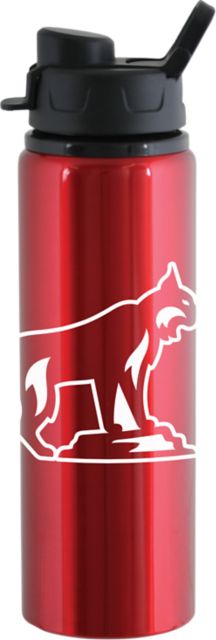 Aluminum Water Bottle