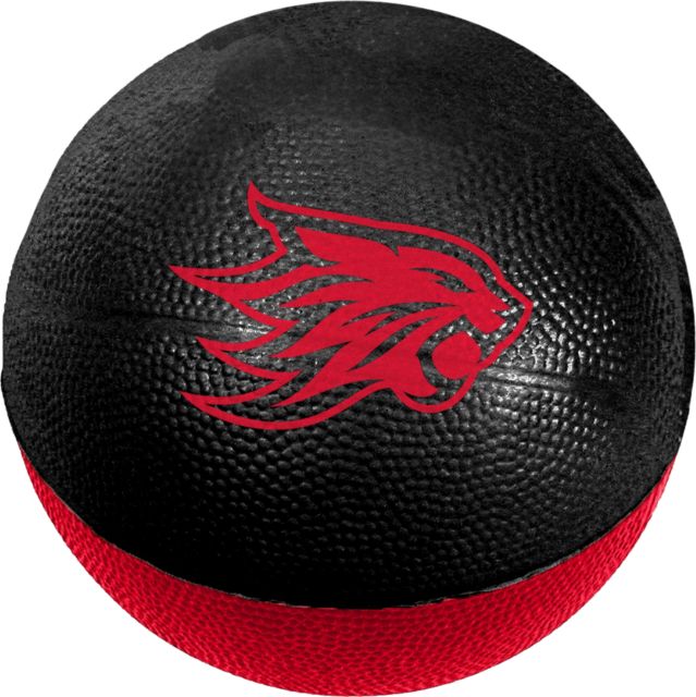 California State University Chico 6" Foam Basketball