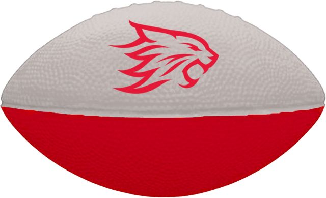 California State University Chico 6'' Foam Football