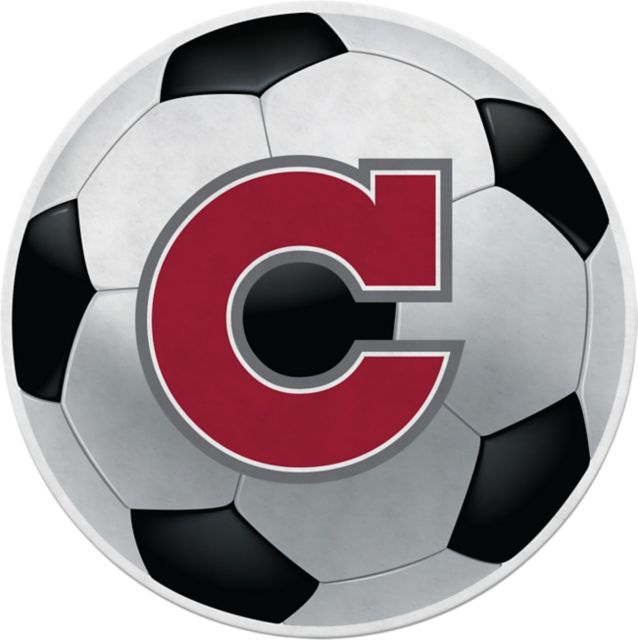 California State University Chico 18x18 Soccer Pennant