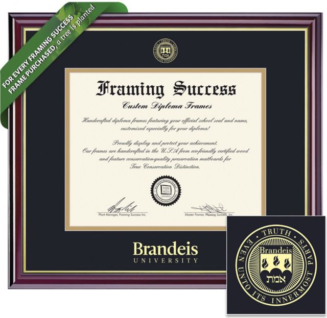 Brandeis University 8.5'' x 11'' Windsor Diploma Frame