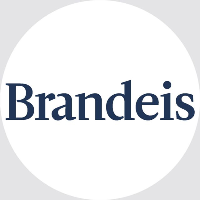 Brandeis University 3" Button Magnet