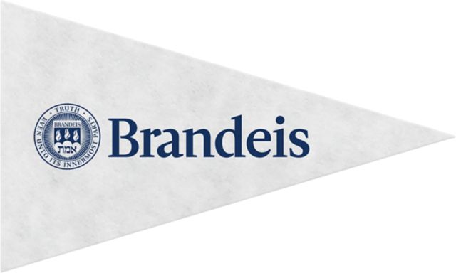 Brandeis University Mini Magnet Pennant
