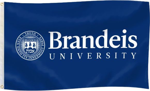 Brandeis University 3' x 5' Durawave Flag