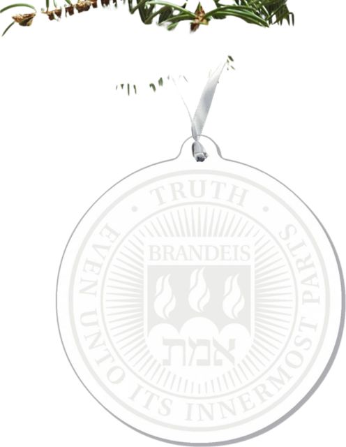 Brandeis University 3'' x 4'' Ornament