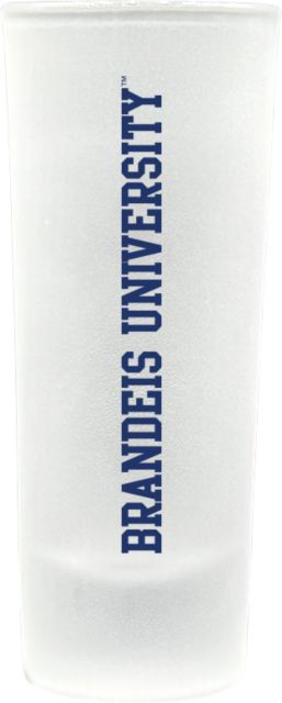 Brandeis University Frosted Collector's Glass
