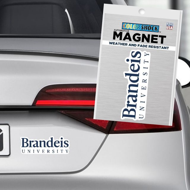 Brandeis University 4" x 4" Magnet