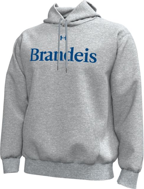 Brandeis University Icon Fleece Hooded Sweatshirt