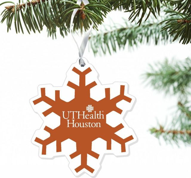 University of Texas Health Science Center 3'' x 4'' Ornament
