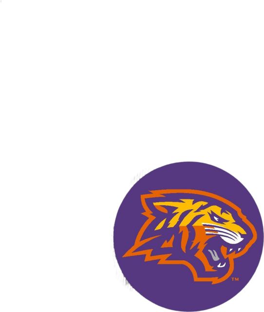 Edward Waters University Mini Button 3 Pack