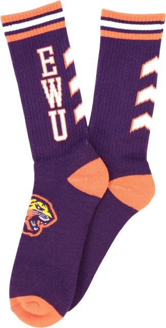 Edward Waters University Socks