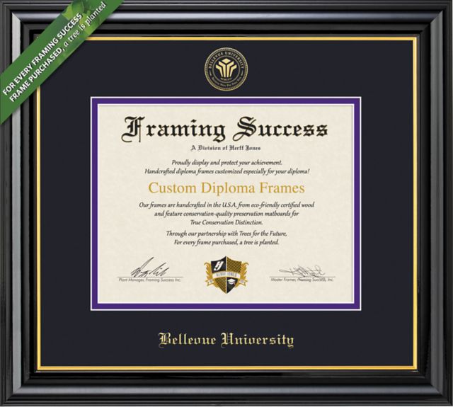 Bellevue University 8"x10" Diploma Frame